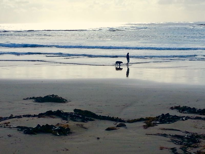 Low tide at Apollo Bay