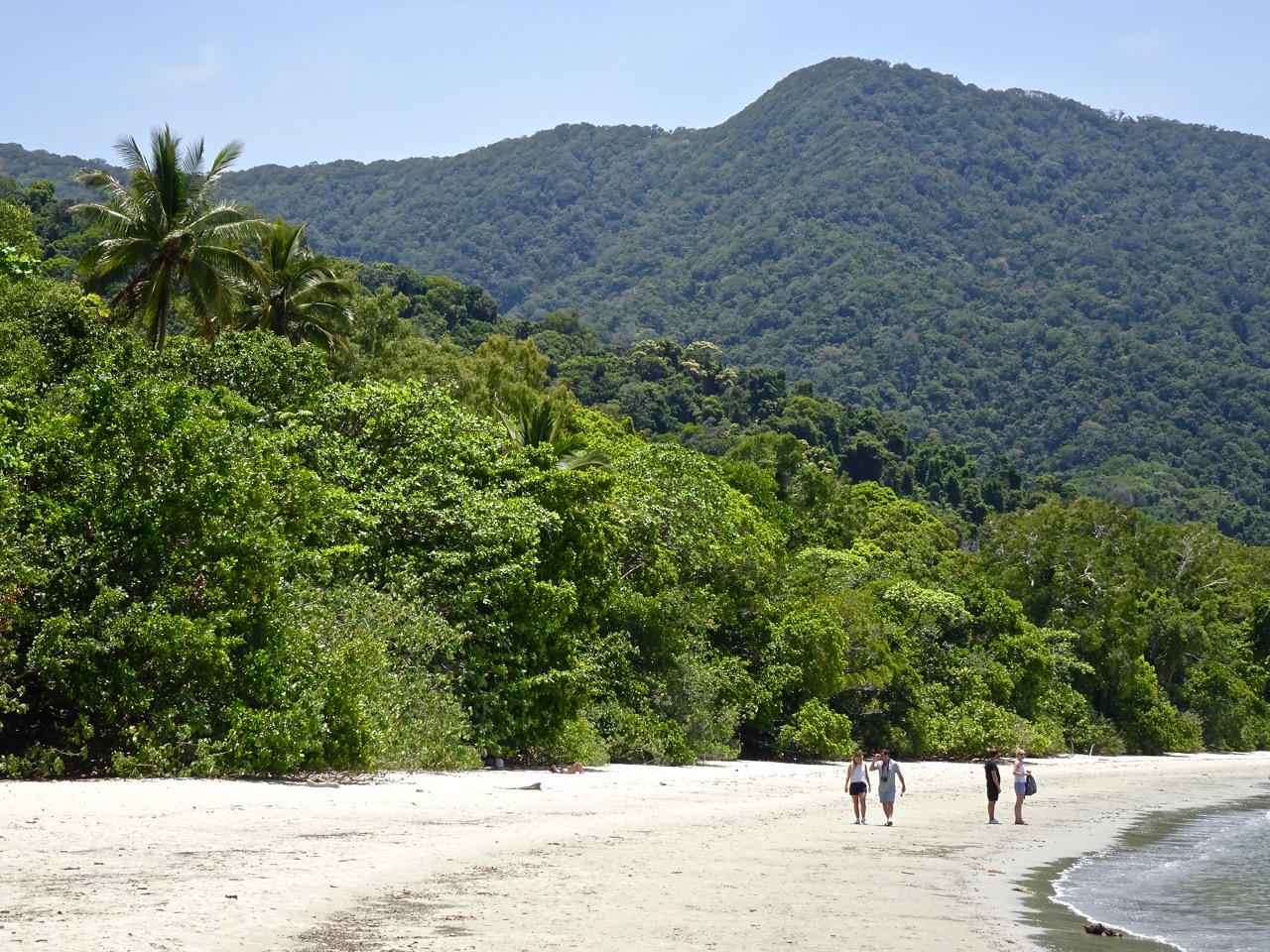 Cape Tribulation