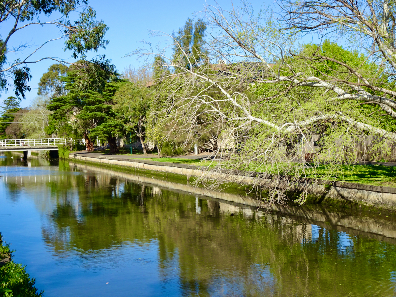 Elwood canal, walking and cycling path