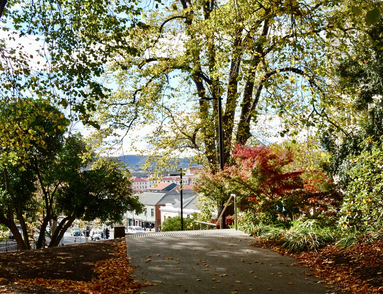 St Davids Park, Hobart
