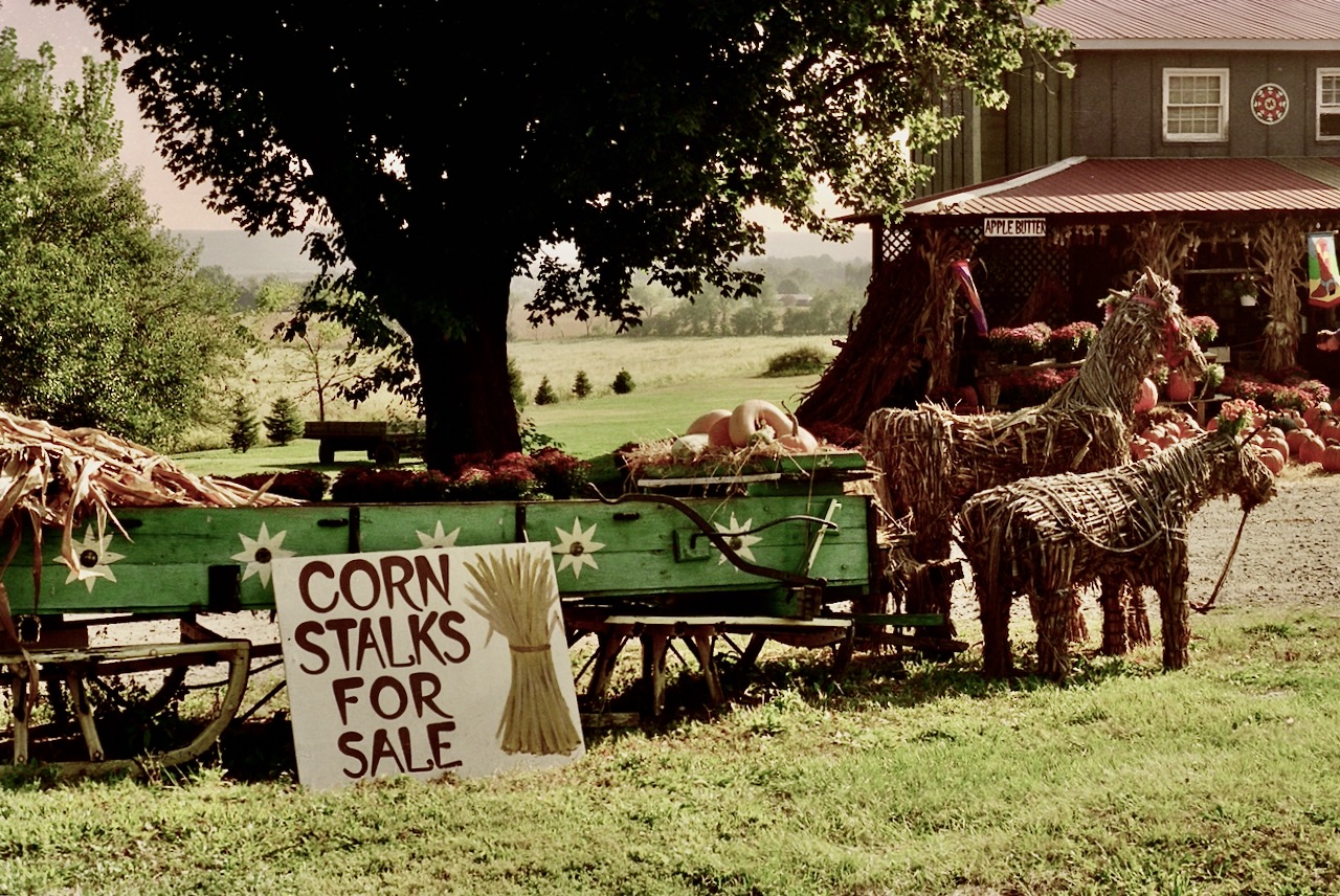 Roadside stall, rural PA