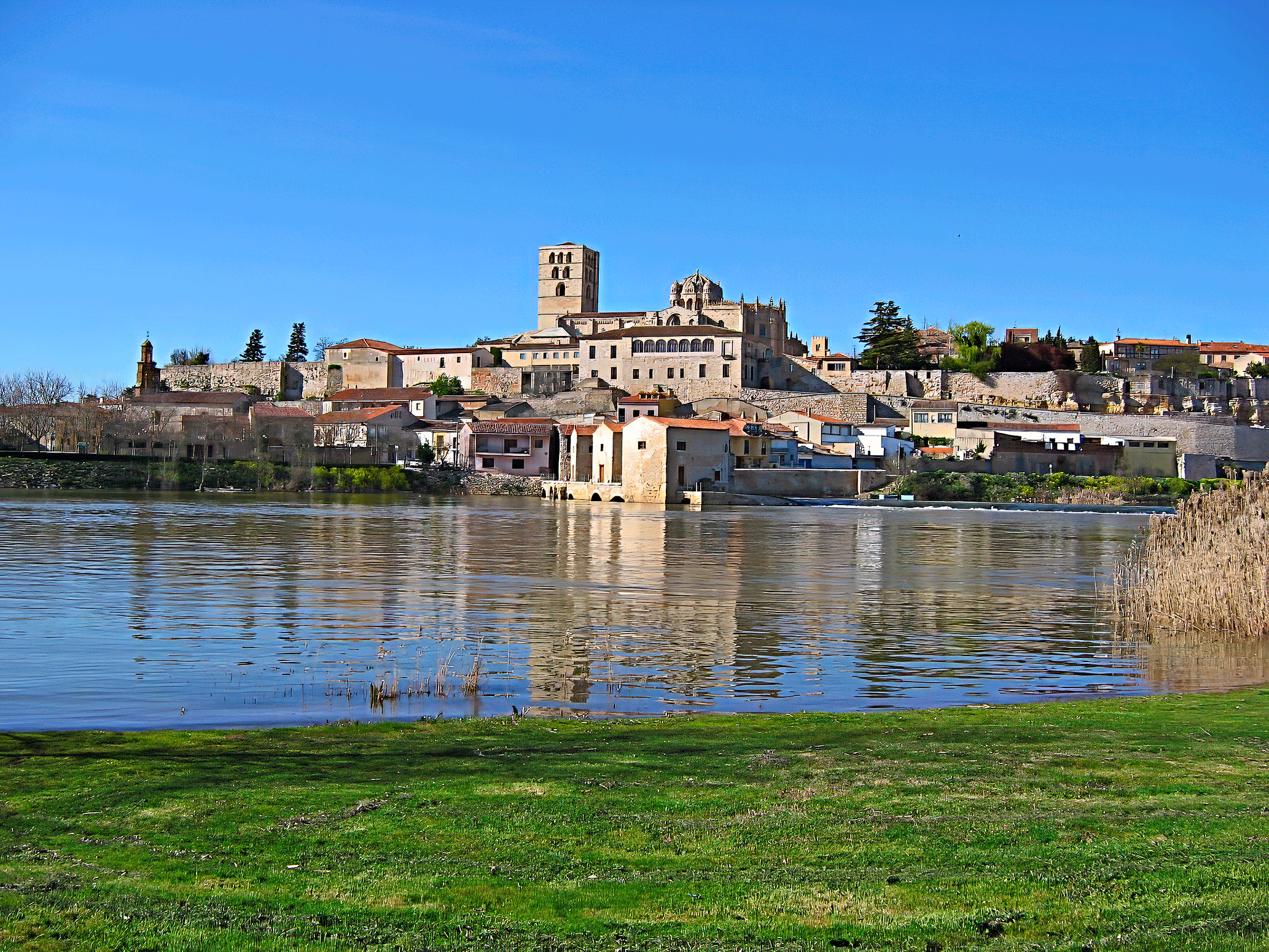 Zamora