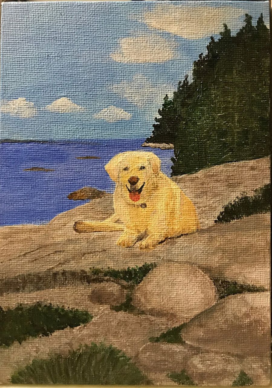 Barnaby - Commissioned by Cathie Crute