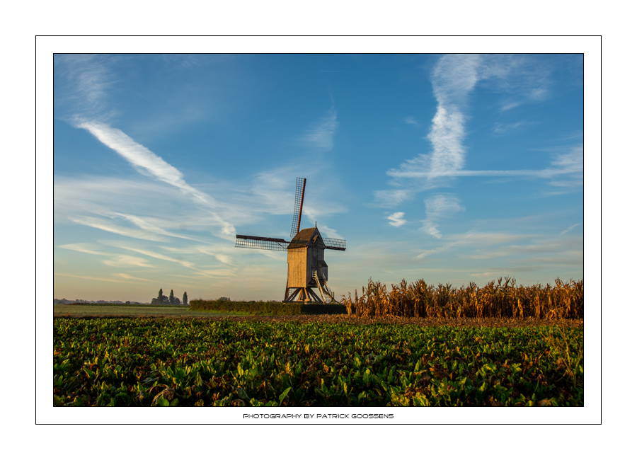 001 Prachtig molenlandschap