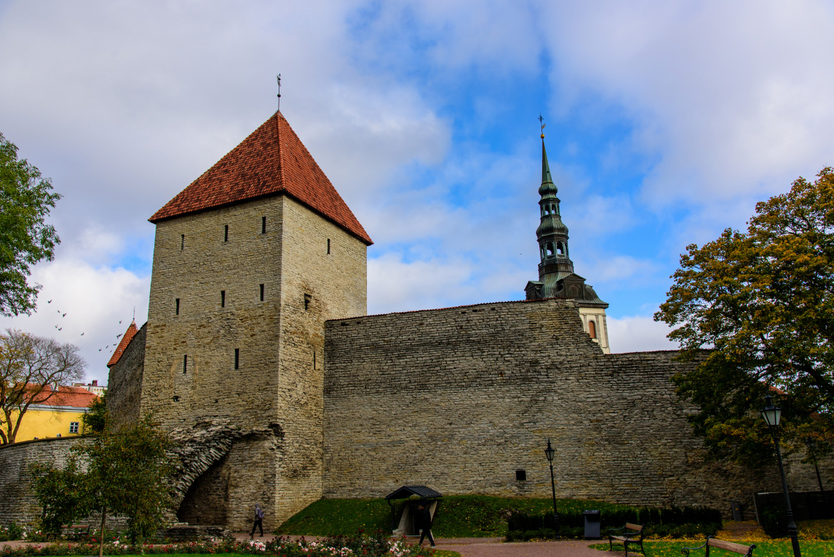 DSC_7663.JPG