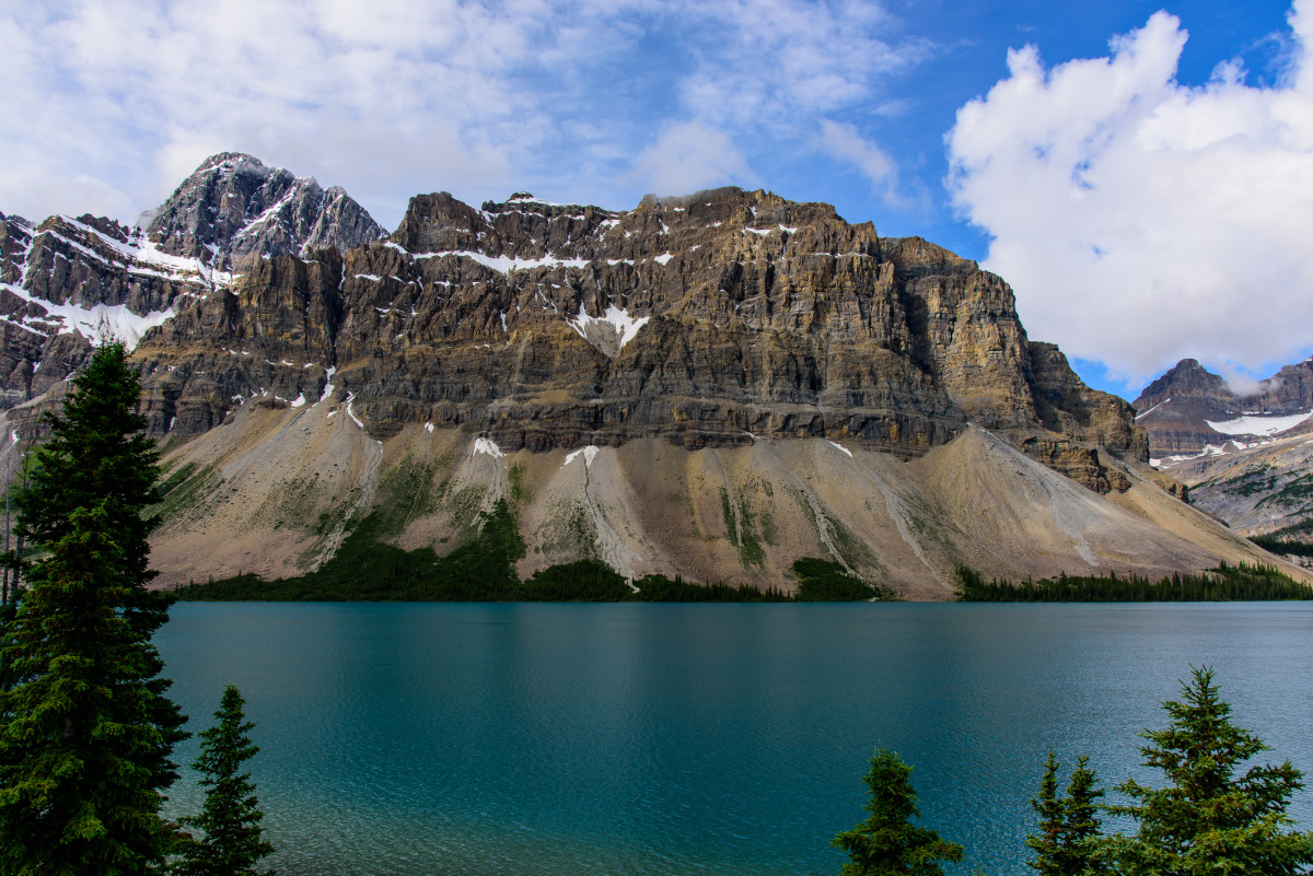 DSC_8506.JPG