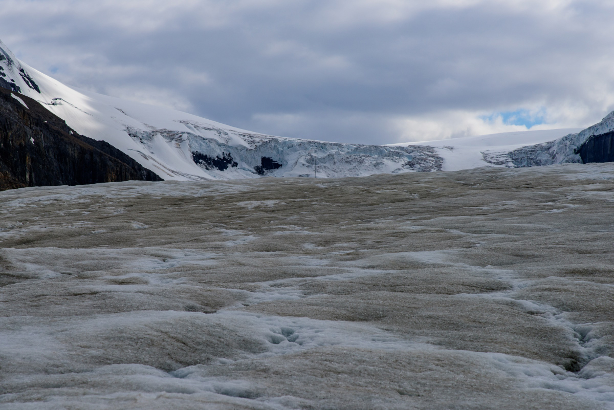 DSC_8766.JPG