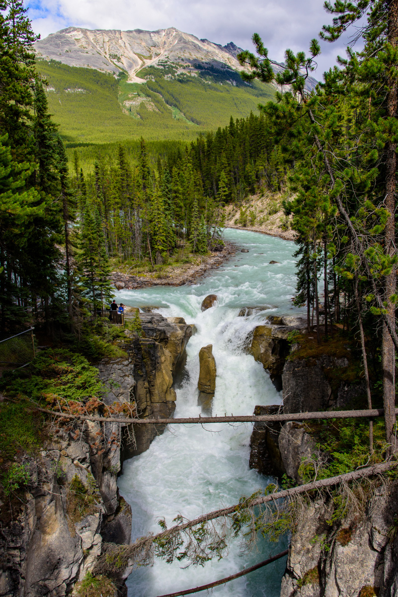 Sunwapta Falls