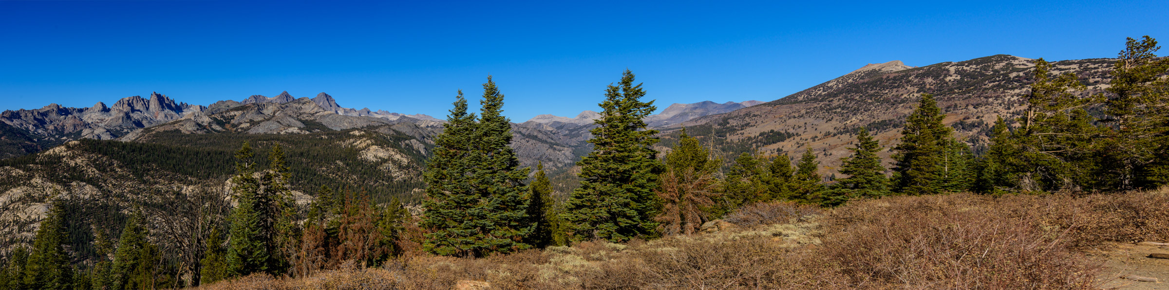 DSC_0348-Pano.jpeg