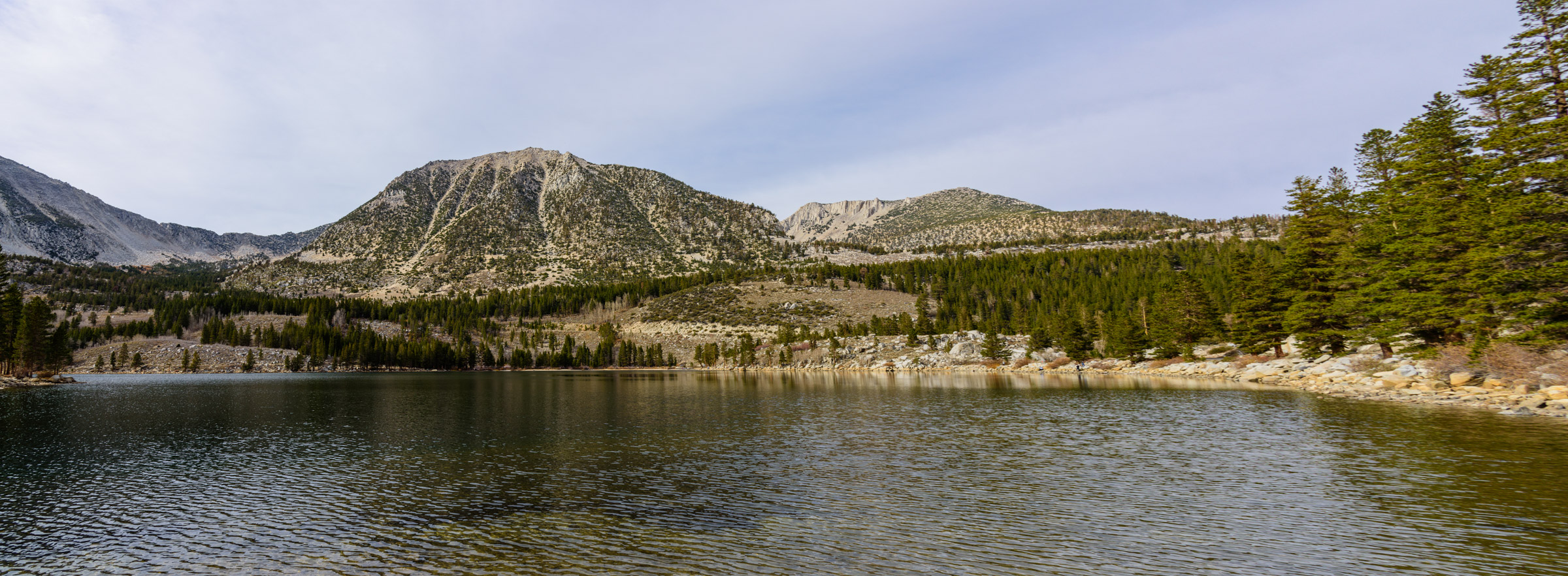 DSC_0664-Pano.jpeg