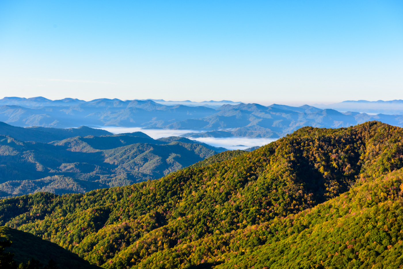 Yellow Face Overlook