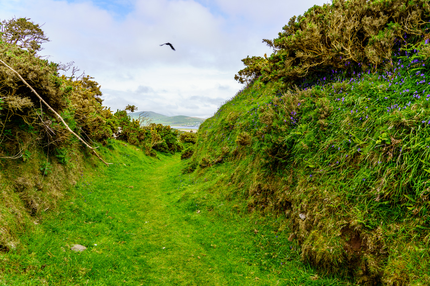 FairyFort Ringfort