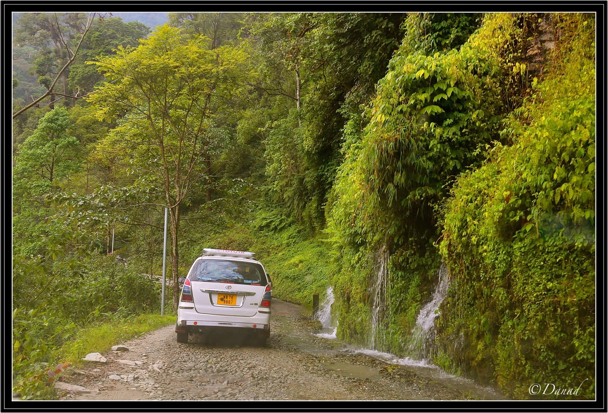 The Road to Pelling.