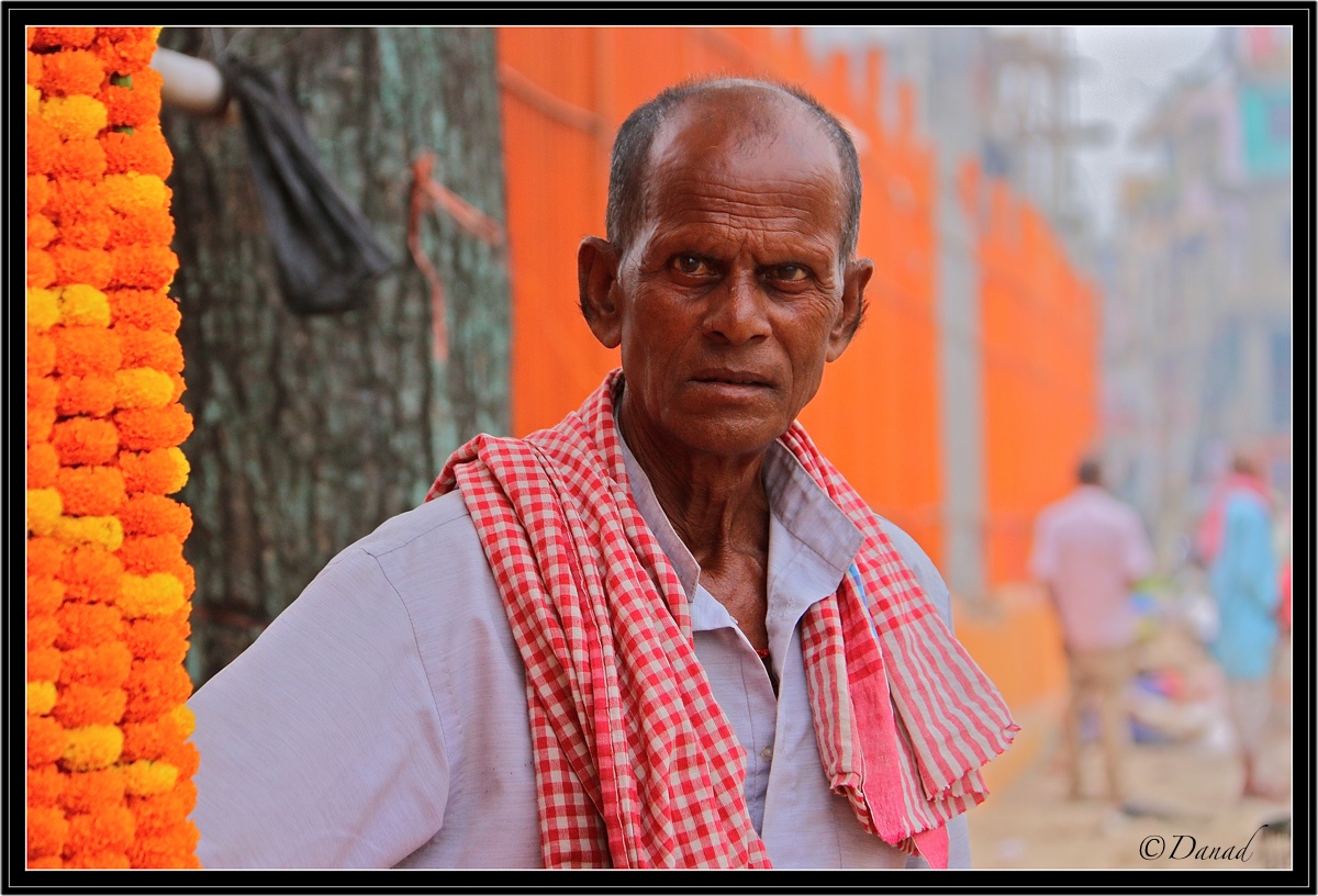 The Offerings Seller.