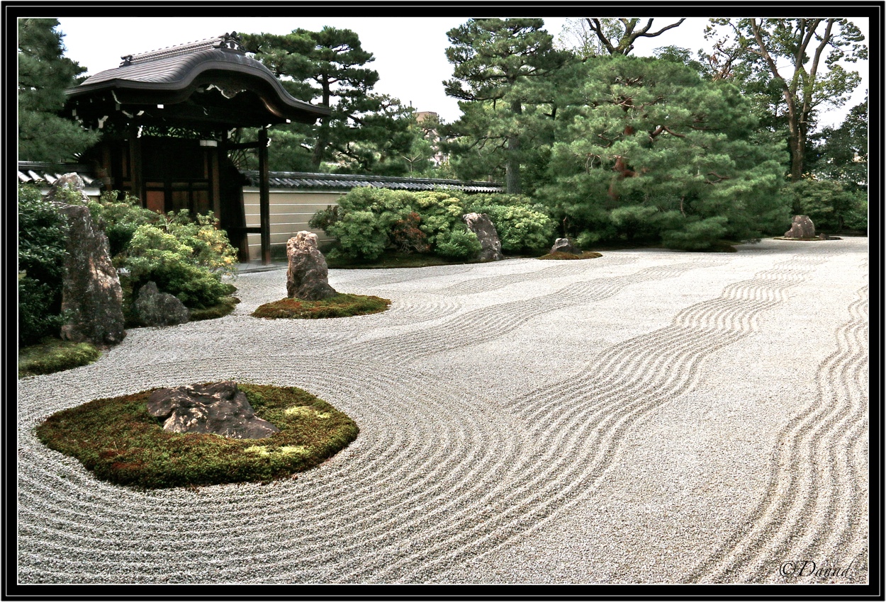 Ripples of Sand - 1.