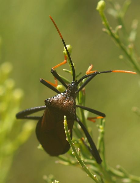 DSC00341cc.jpg