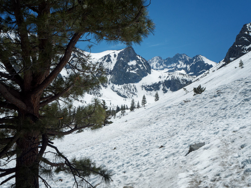 Looking back at Middle Palisade