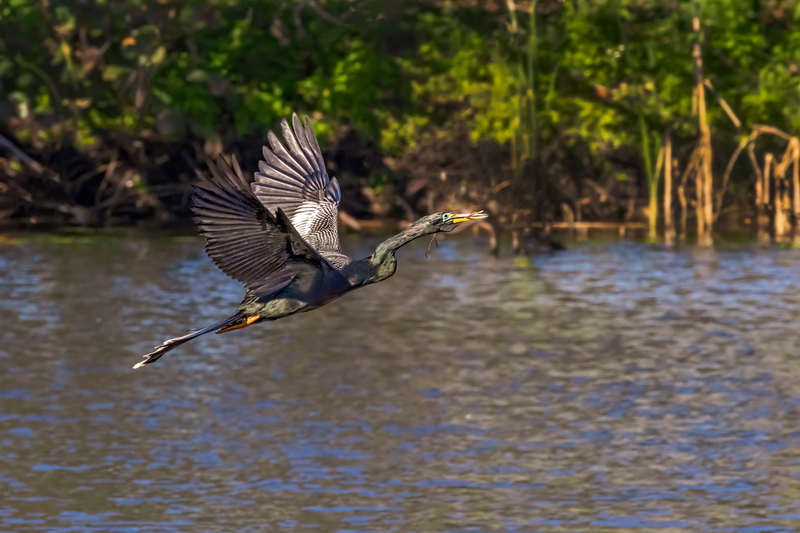 _MG_3936.jpg