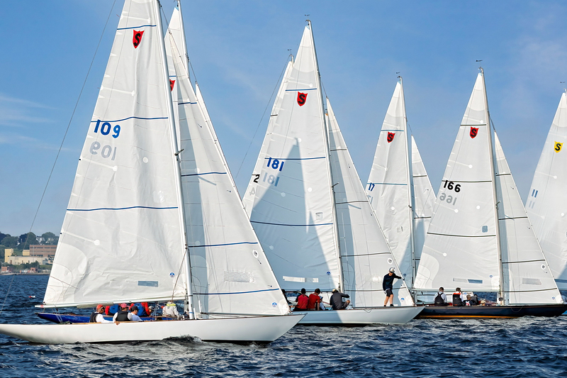 _MG_37010-DeNoiseAI-clear.jpg