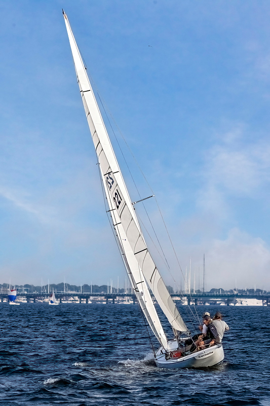 _MG_37098-DeNoiseAI-clear.jpg