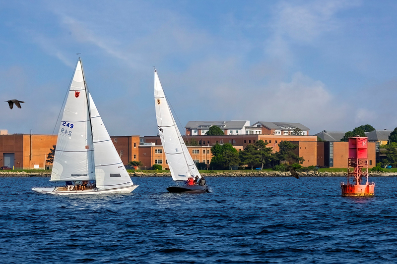 _MG_37294-DeNoiseAI-clear.jpg