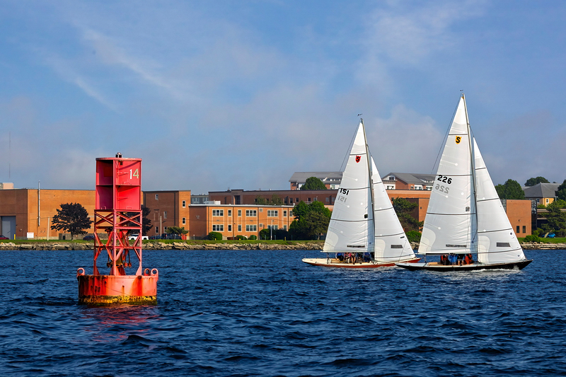 _MG_37344-DeNoiseAI-clear.jpg
