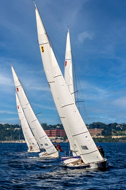 _MG_37480-DeNoiseAI-clear.jpg