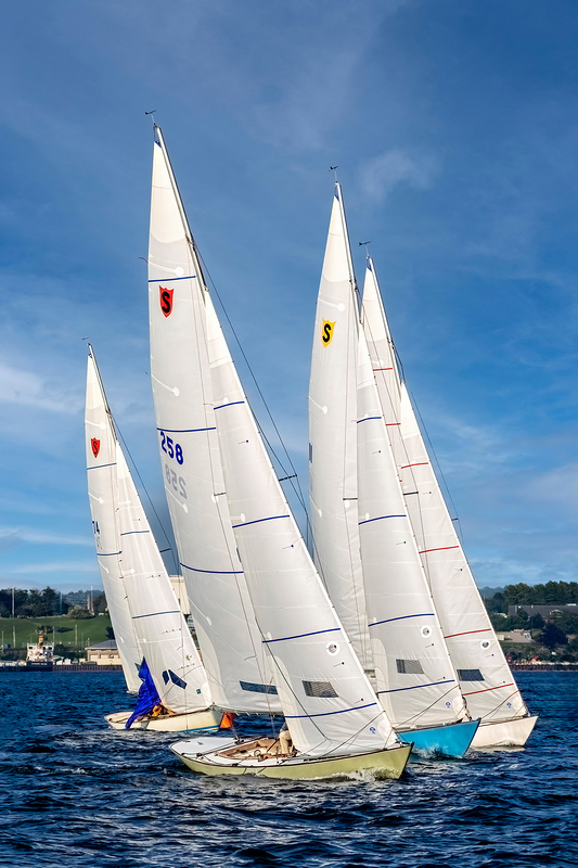 _MG_37485-DeNoiseAI-clear.jpg