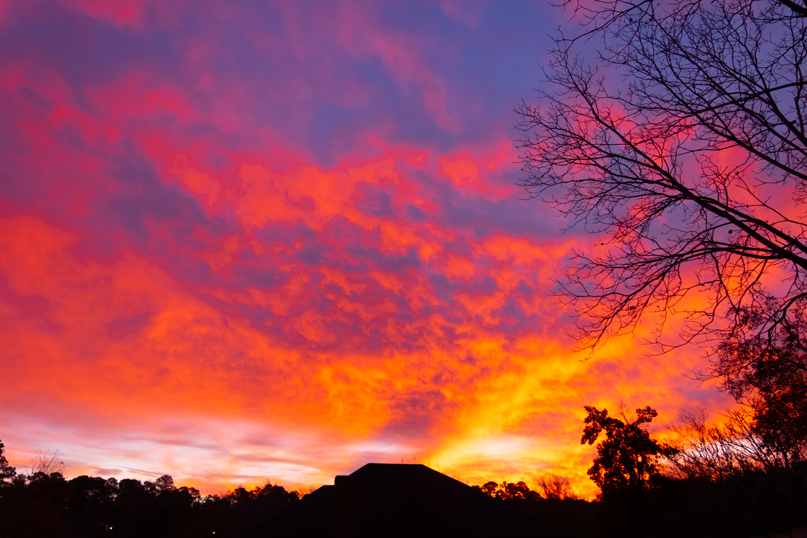DSCF0981.jpg