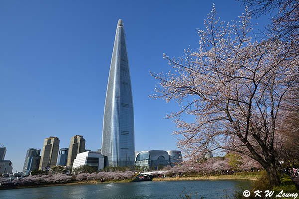 Seokchon Lake & Lotte World Tower DSC_3132