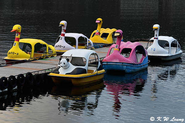 Water bikes DSC_1840