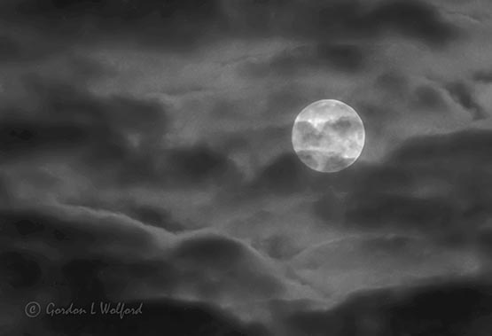 Clouded Worm Moon P1080405