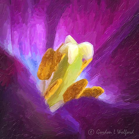 Purple Tulip Interior P1110013-5 Art
