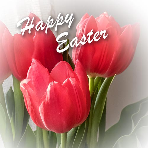 Happy Easter P1090261
