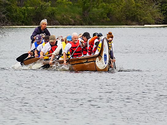 Rideau Paddlefest 2019 (1150511-1)