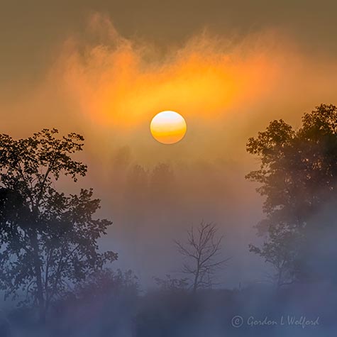 Sun Rising Through Ground Fog P1450207-3