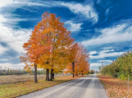Autumn Back Road DSCN03050-2