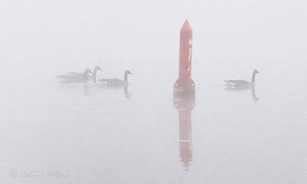Channel Marker & Geese In Fog DSCN03717