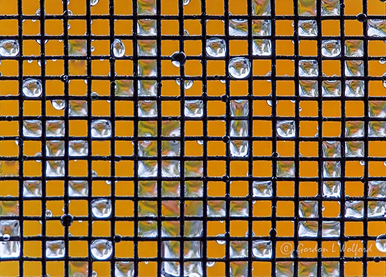 Wet Window Screen DSCN04077