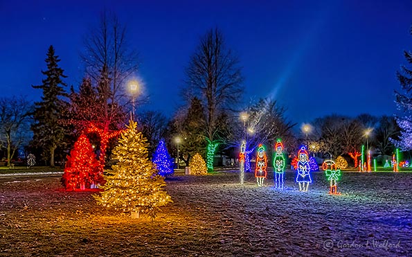 Calebration Of Lights 2019 (P1480794-00)