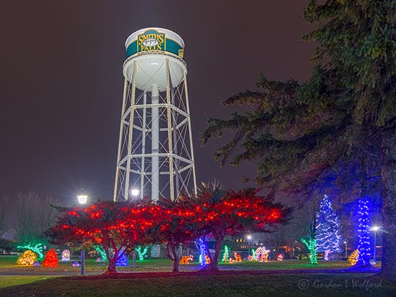 Calebration Of Lights 2019 (P1480997-04)