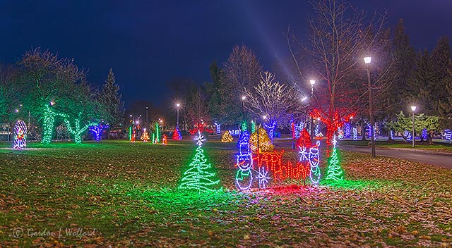 Calebration Of Lights 2019 (P1490103-9)