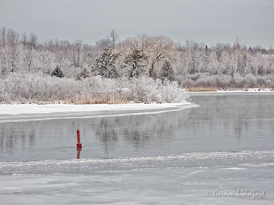 Frosty Landscape Along The Canal DSCN08630