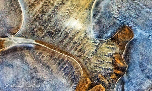 Abstract In Ice DSCN11454A