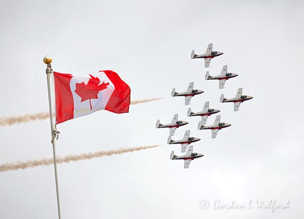 CF Snowbirds Arriving 29205