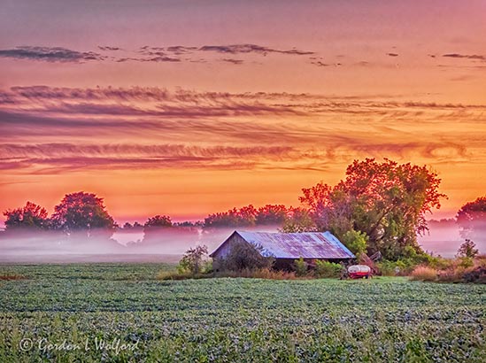 Ground Fog Beyond Farm Shed At Sunrise DSCN28158-60