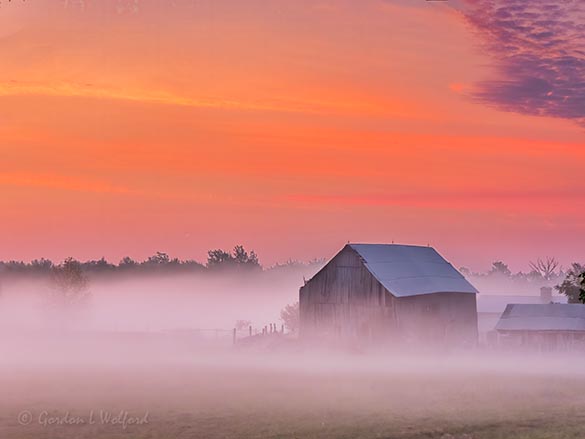 Old Barn In Sunrise Ground Fog DSCN29028
