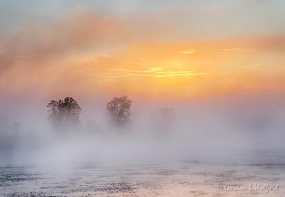 Foggy Rideau Canal At Sunrise DSCN30244