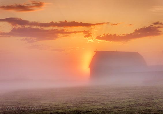 Barn In Foggy Sunrise Glow DSCN34274