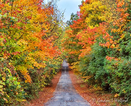 Autumn Back Road DSCN35764